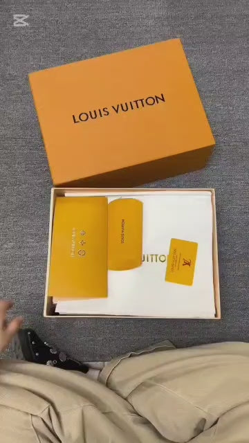 Louis Vuitton Trainer Sneakers.